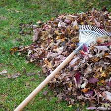 Yard cleanup and debris removal Jacksonville FL